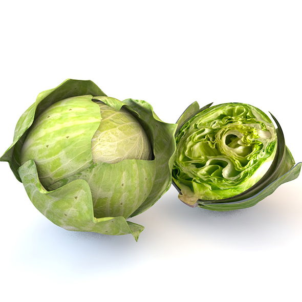 Cabbage (Green) 3d - 3Docean 34063189