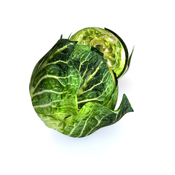 Cabbage (Green) V2 - 3Docean 34063200
