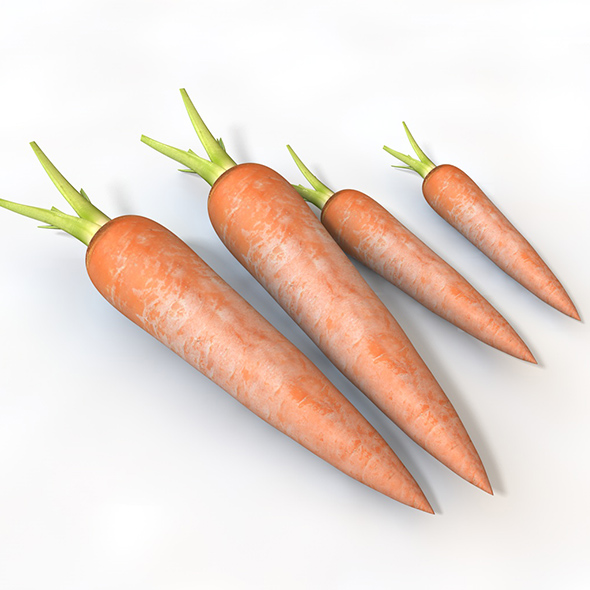 Carrots 3d model - 3Docean 34063225