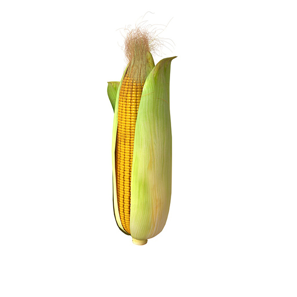 Corn 3d model - 3Docean 34064649