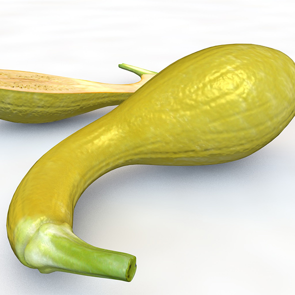 Crookneck Squash 3d - 3Docean 34064723