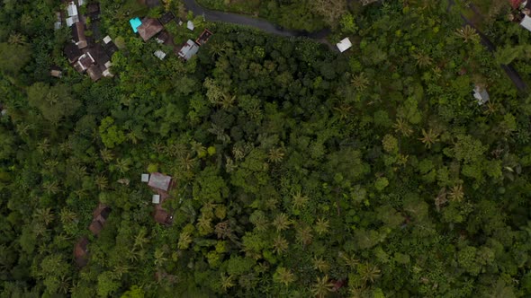 Top Down View of Tropical Houses Hidden in Thick Rainforest in Bali alt