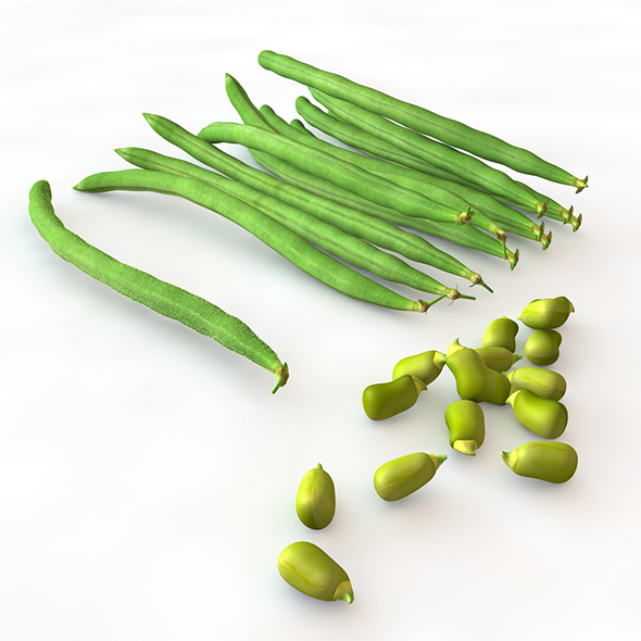 French beans 3d - 3Docean 34066308