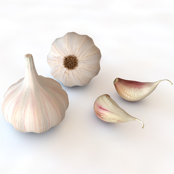 Garlic 3d model - 3Docean 34066370