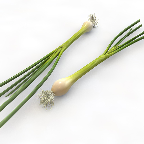 Green Onions 3d - 3Docean 34066487