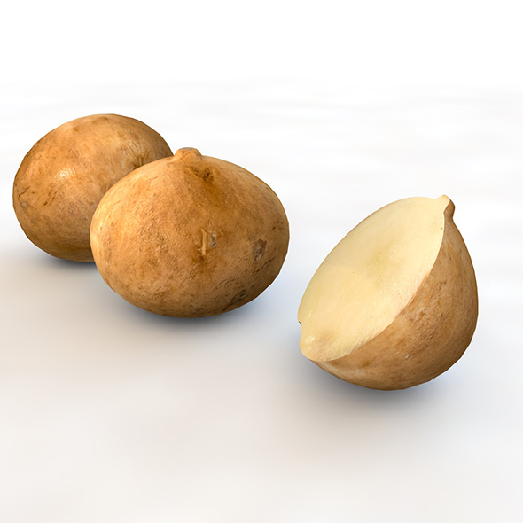 Jicama 3d model - 3Docean 34066665