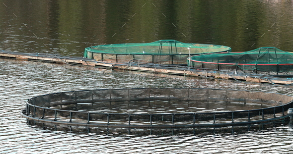 Fishing trap net in canal,lake or river. Nature landscape