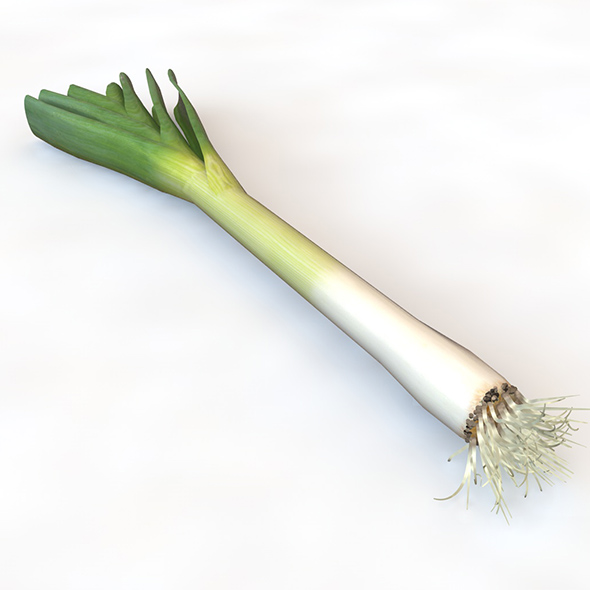 Leeks 3d model - 3Docean 34075556