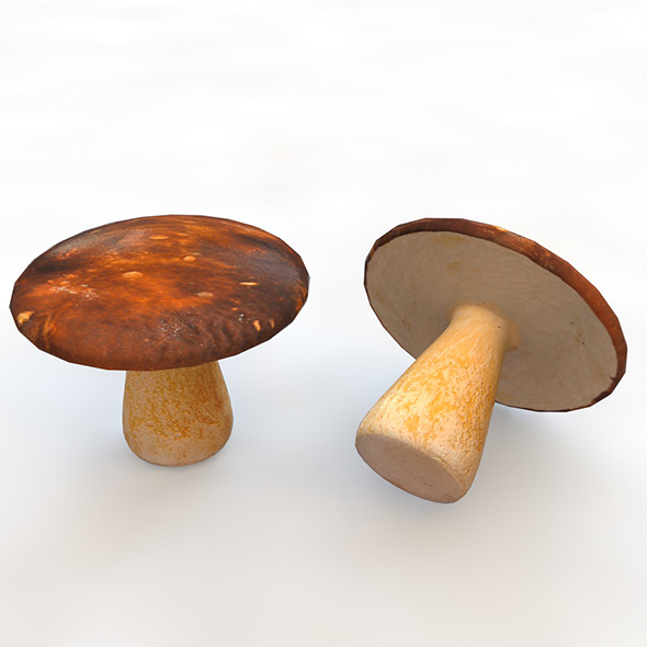 Mushrooms brown 3d - 3Docean 34079752