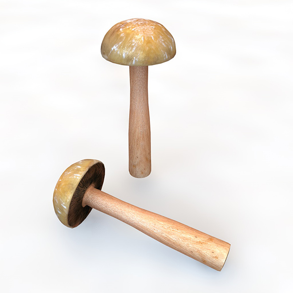 Mushrooms brown slim - 3Docean 34079771