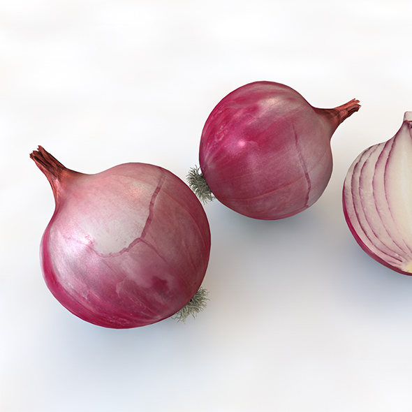 Onion Red 3d - 3Docean 34080172