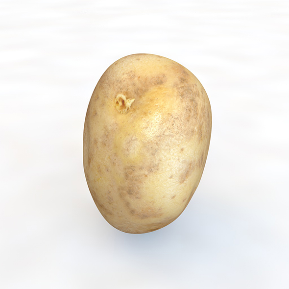 Potato B 3d - 3Docean 34080401