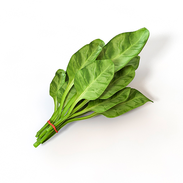 Spinach 3d model - 3Docean 34081844