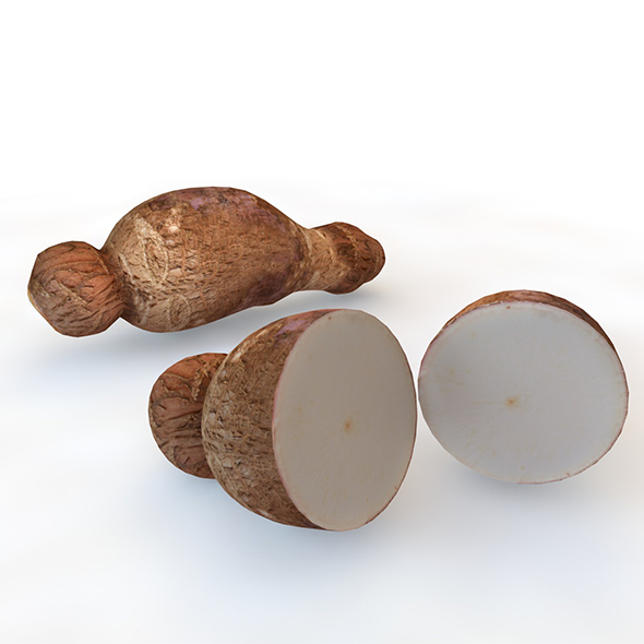 Yucca Root 3d - 3Docean 34081988