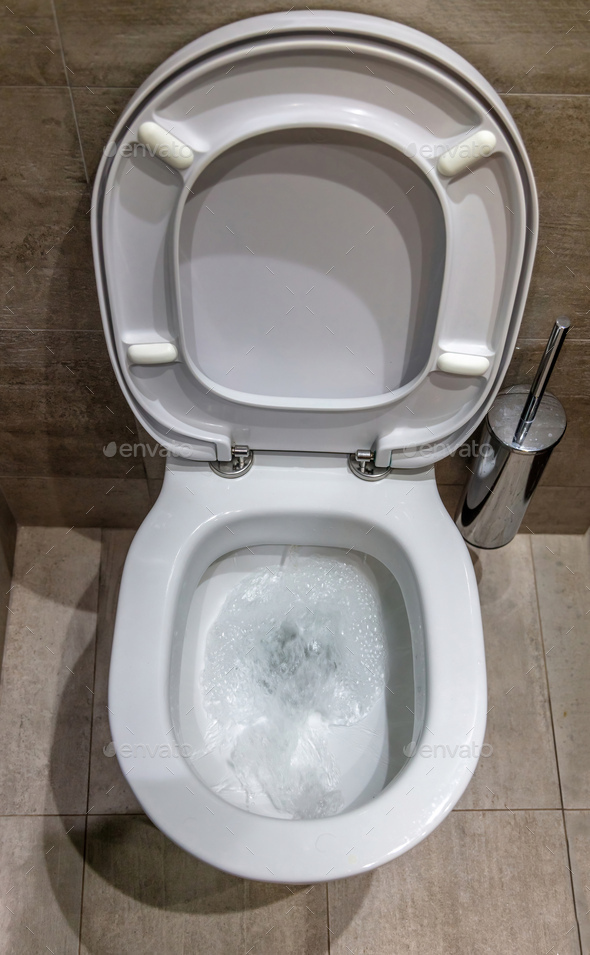 File:Flush toilet bowl.jpg - Wikimedia Commons