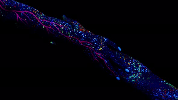 Hands Painted with Bright Fluorescent Paints Under Ultraviolet Reach Out to Each Other and Connect alt