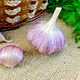 Garlic with burlap and a basket on the board - PhotoDune Item for Sale