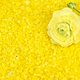 Salt yellow with flower - PhotoDune Item for Sale