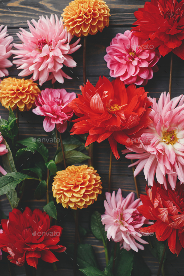 6 Autumn Flowers You'll Fall For — Anjie Cho