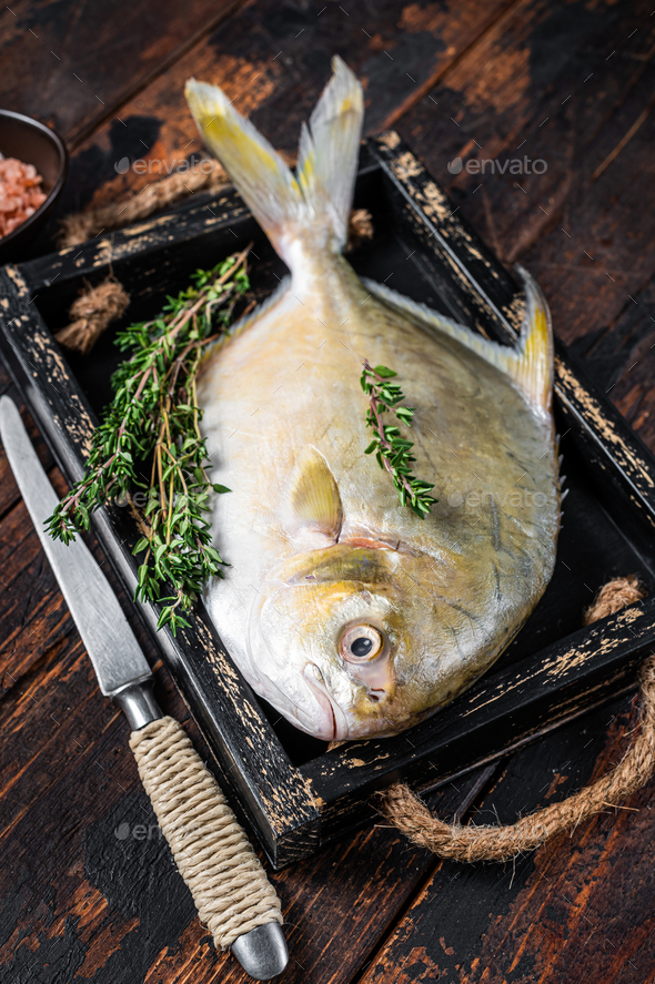 Raw fish butterfish or pompano with herbs in a wooden tray. Dark wooden  background. Top view Stock Photo by composter-box