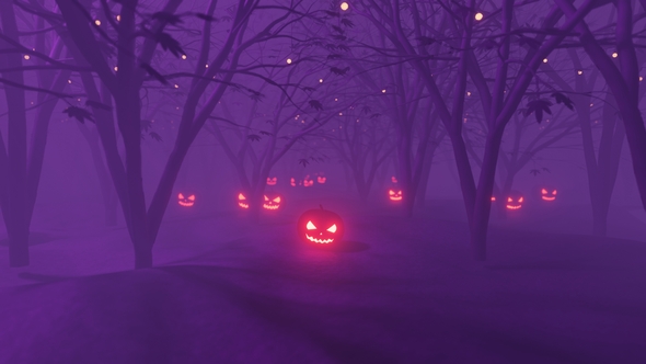 Foggy forest decorated in the style of the Halloween holiday with fireflies and Jack o'lanterns loop
