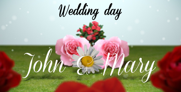 Wedding Day - VideoHive 3106418