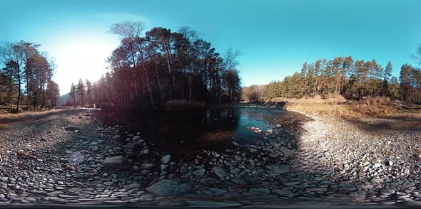 360 VR Virtual Reality of a Wild Mountains, Pine Forest and River Flows. National Park, Meadow and alt