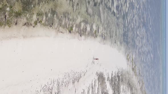 Vertical Video of a Coastal Landscape in Zanzibar Tanzania Aerial View alt