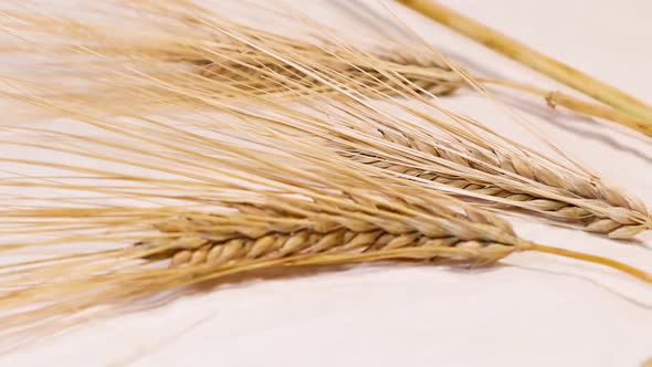 Ears of dry wheat close on white background zoom