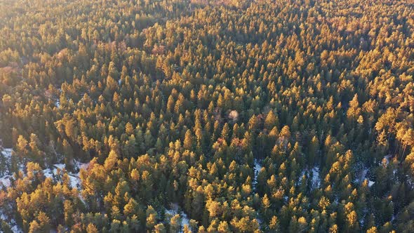 Flight Over Alpine Forest Durring Sunset Among Rural Path