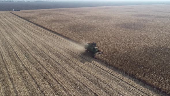 Aerial View of a Harvester Harvesting Corn in the Field alt