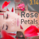 Rose Petals falling - VideoHive Item for Sale