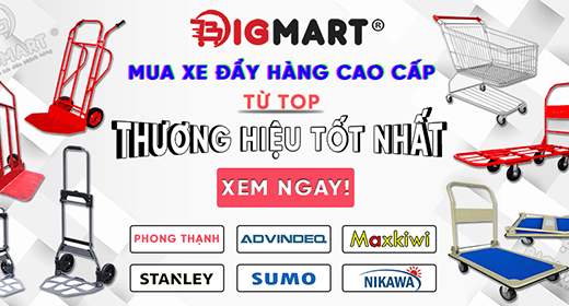 xe đẩy hàng bigmart