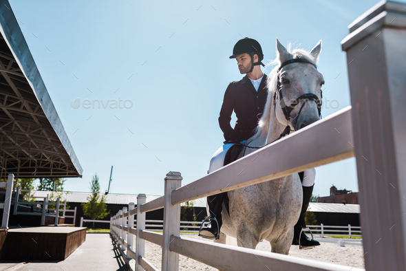 handsome male equestrian riding horse near fence at horse club