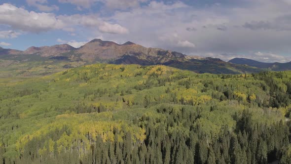 Fall foliage by Crested Butte, CO alt