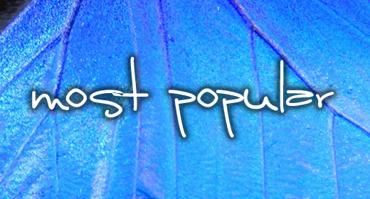 Most Popular AudioJungle Songs