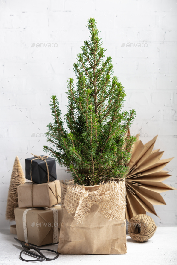 Zero waste eco Christmas and New Year concept - Stock Photo - Images