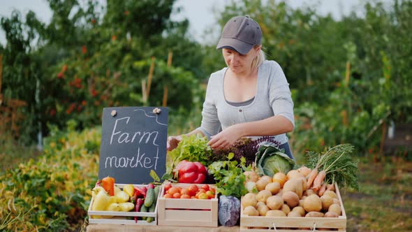 The Seller in the Farmer's Market Carefully Places the Vegetables on the Counter alt