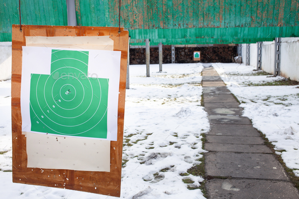 Paper target in the dash, hanging. Winter, firearms, gunfire