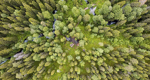 Summer and winter forest, aerial view from drone