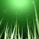 Magical Grass - VideoHive Item for Sale