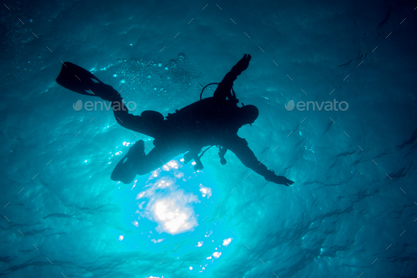 diver descends into the depths of the ocean