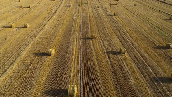 Lanes With Hay Bales
