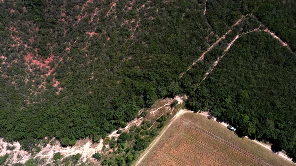 Aerial view of the Brazilian savannah then fields of soybeans growing on deforested farmland alt