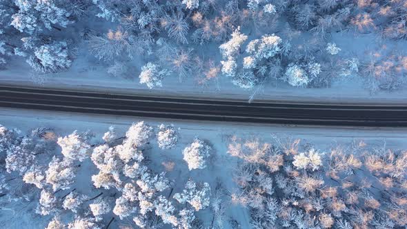 Several Cars Drive Down the Highway in the Middle of a Snowcovered Pine Forest on a Bright Sunny