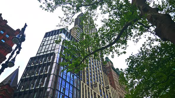 New York City Buildings And Trees alt