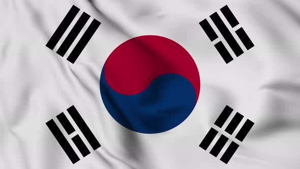 South Korea flag seamless closeup waving