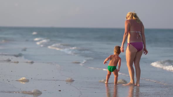 Mom Worries About Her Son and Tells Him About Poisonous Jellyfish Walking Along the Beach Strewn alt