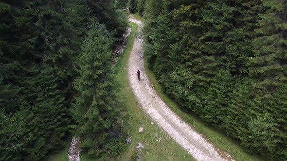 Back Drone View Following Make Hiker Walking on a Trail in Valley in Summertime