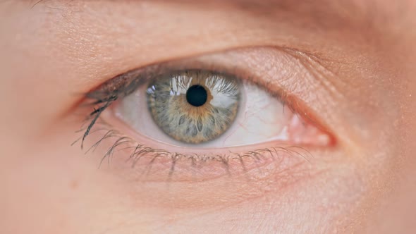 b Roll Sight Upper Part Face Female alt